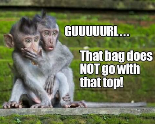 10 Funny Monkey Memes For Your Face