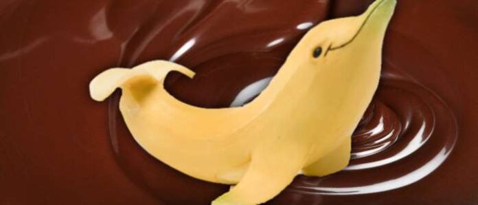 Banana Dolphins