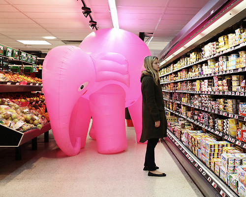elephant in the room, pink elephant