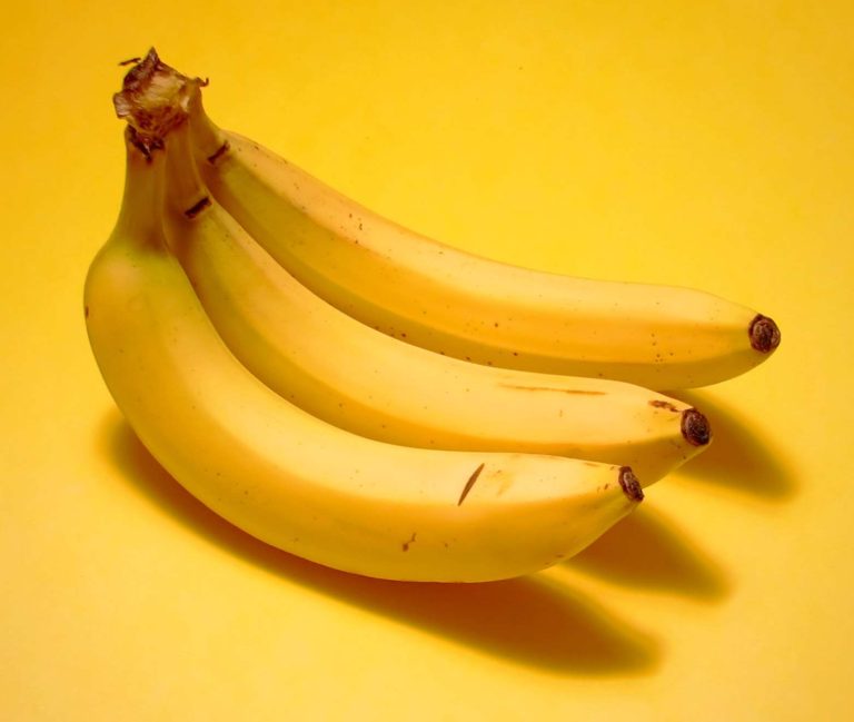 Bananas Are Dying Out! What Will We Eat Instead?