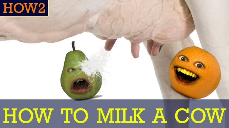 How2 milk a cow, how to milk a cow, Annoying Orange, cool people, funny people, funny videos