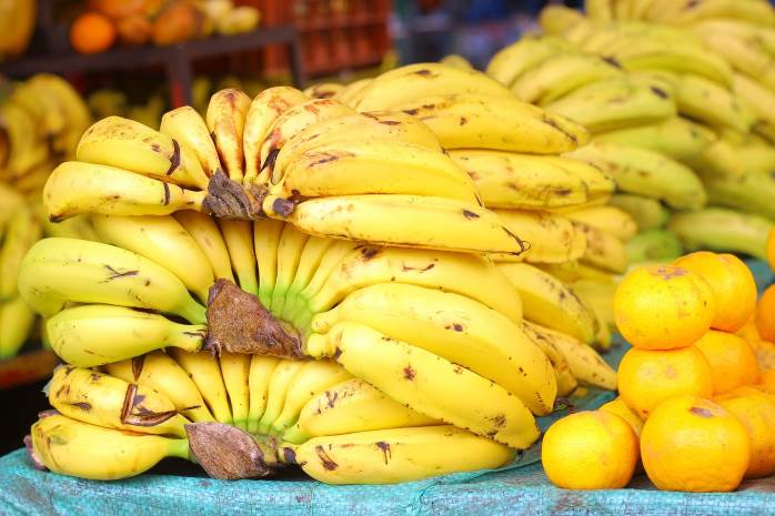 monkey pickles, funny articles, it's bananas, banana wars