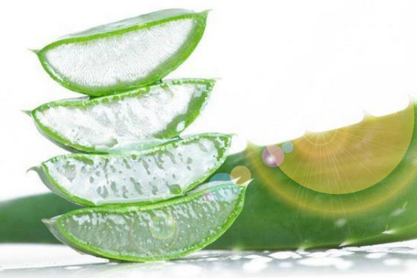 Household Uses for Aloe Vera