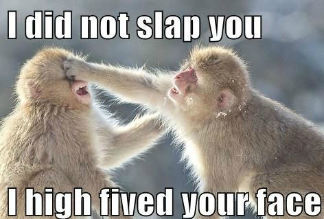 Funny Monkey Meme, Monkey Images, Funny Pictures