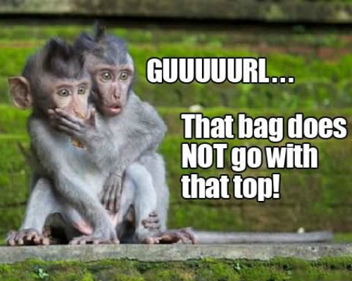 Funny Monkey Meme, Monkey Images, Funny Pictures