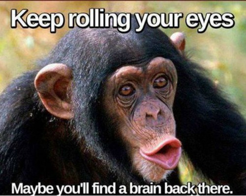 Funny Monkey Meme, Monkey Images, Funny Pictures