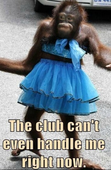 Funny Monkey Meme, Monkey Images, Funny Pictures