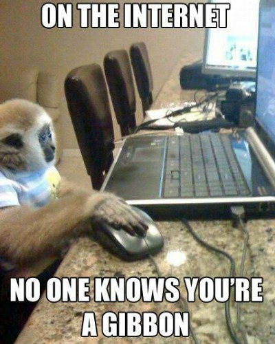 Funny Monkey Meme, Monkey Images, Funny Pictures