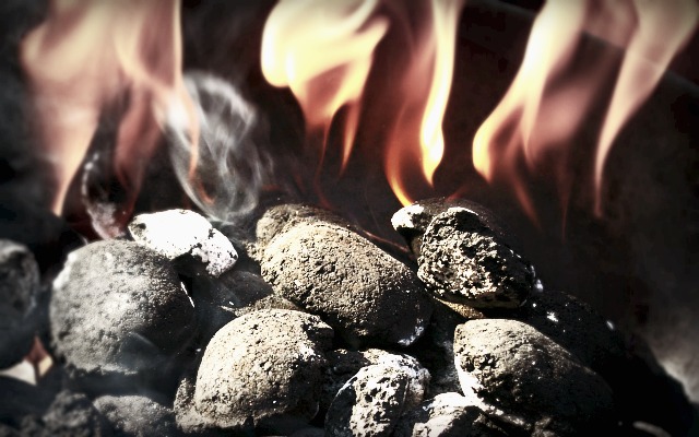 Household Uses for Charcoal, Ways to Use Charcoal, Charcoal Uses, Funny, Satire