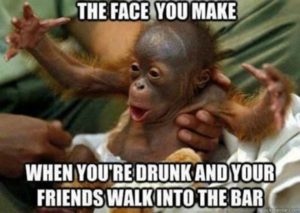 Baby Monkey Memes, Monkeys, Cute Monkeys, Baby Monkeys, Baby Animals, Memes