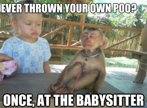Baby Monkey Memes, Monkeys, Cute Monkeys, Baby Monkeys, Baby Animals, Memes