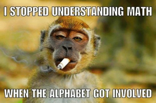 Baby Monkey Memes, Monkeys, Cute Monkeys, Baby Monkeys, Baby Animals, Memes