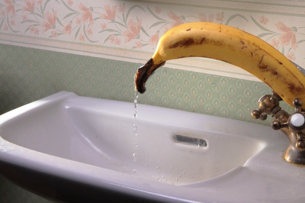 Bananas in Bathrooms Funny pics Funny Memes