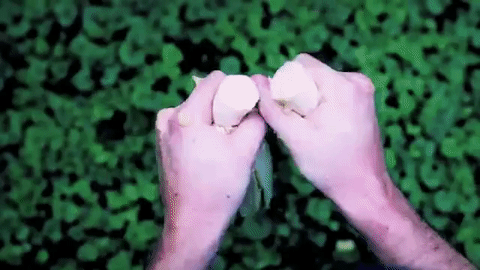 Things Getting Squished, Squishy, Satisfying Gif