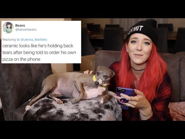 Jenna Marbles, Dogs, Roasting, Mean Comments, Funny
